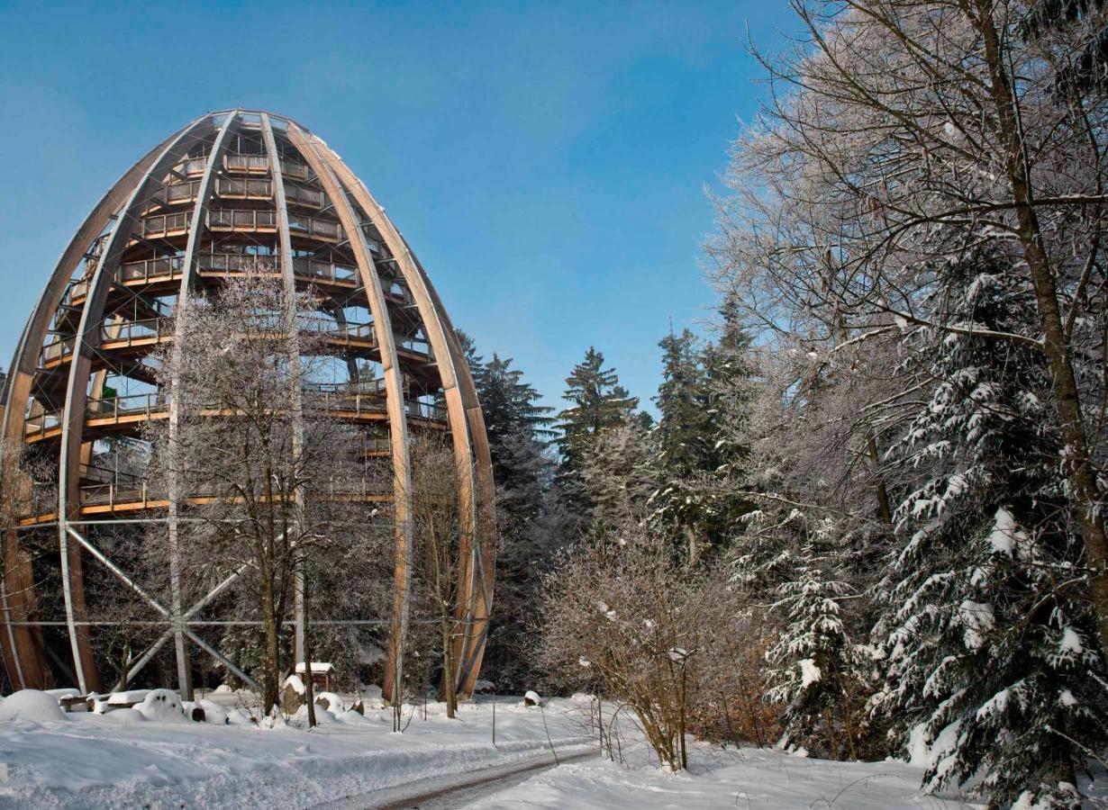 Ferienwohnung Im Landhaus Am Nationalpark Ludwigsthal Exteriér fotografie