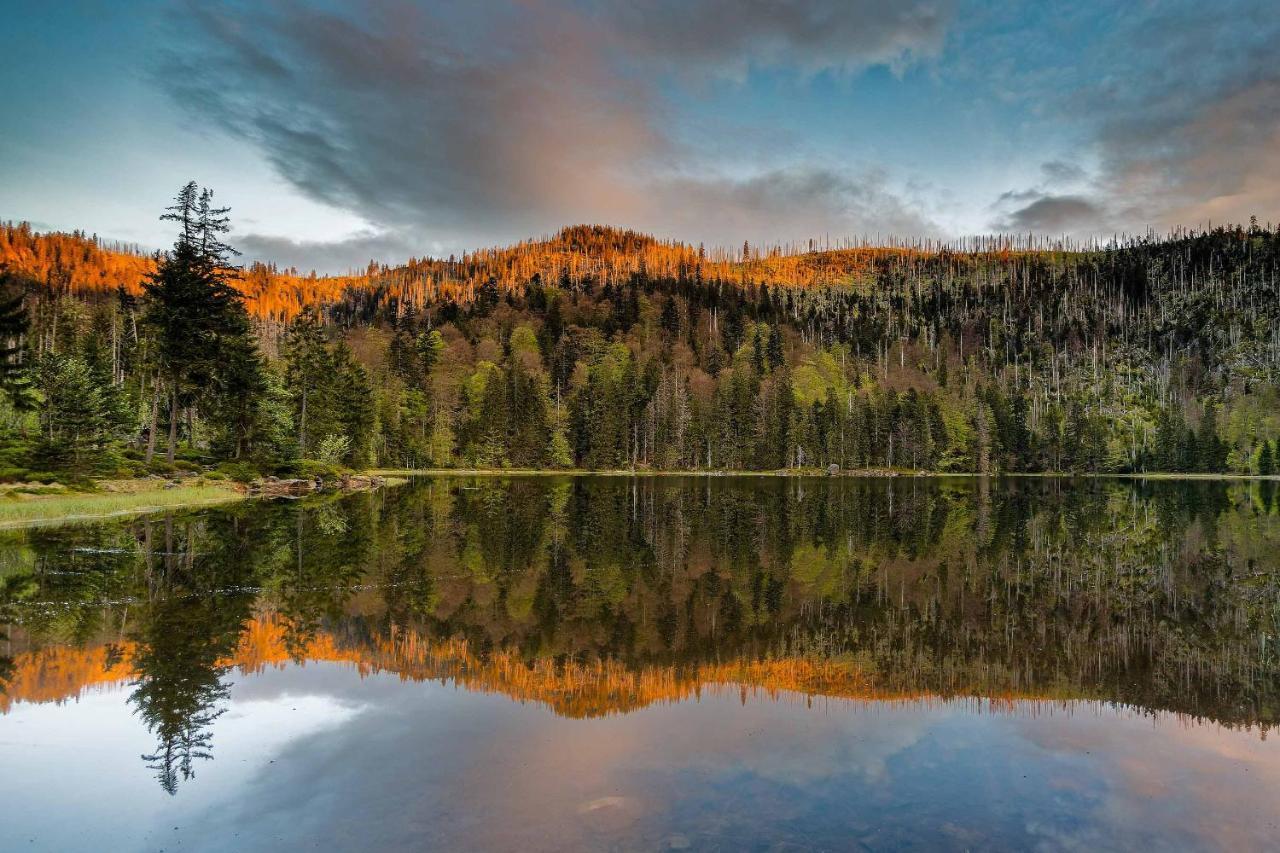 Ferienwohnung Im Landhaus Am Nationalpark Ludwigsthal Exteriér fotografie