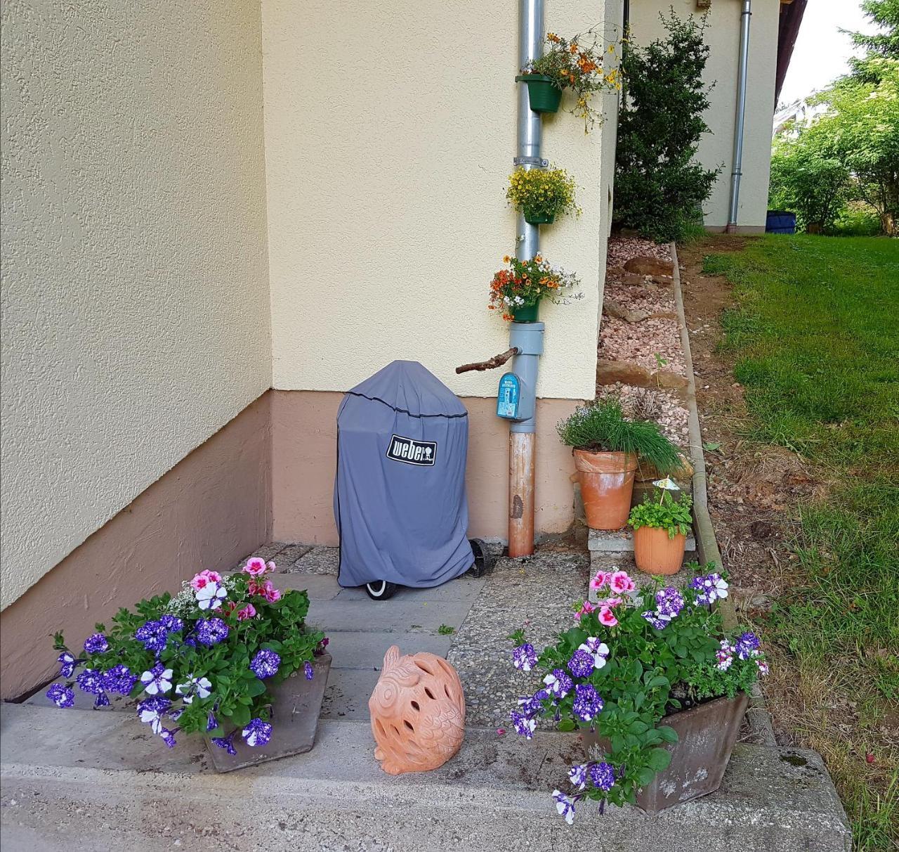 Ferienwohnung Im Landhaus Am Nationalpark Ludwigsthal Exteriér fotografie